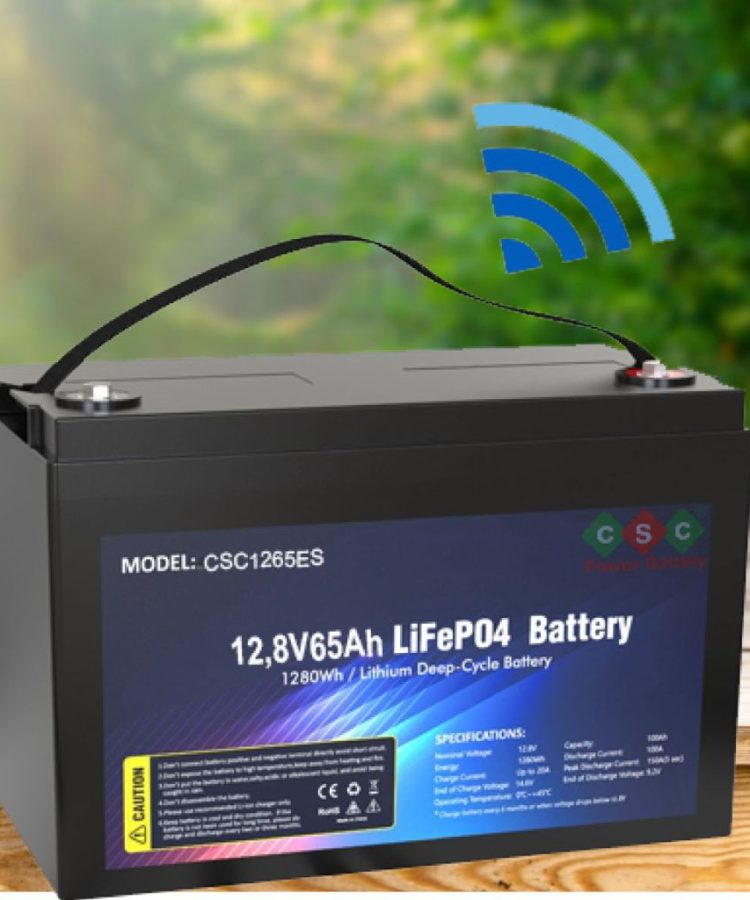 ac-quy-lithium-12v-65ah